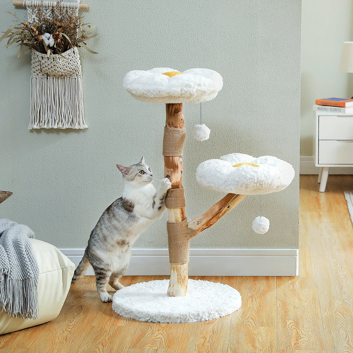 For cat
