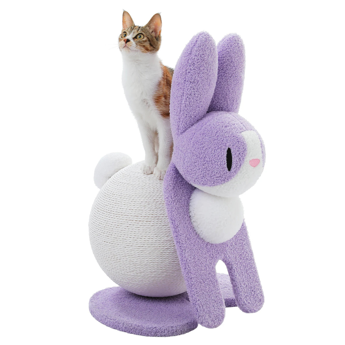 Cute Cat Scratching Post