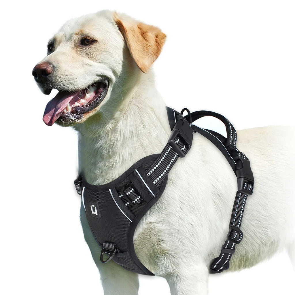 pawsoftly EasyWalk™
