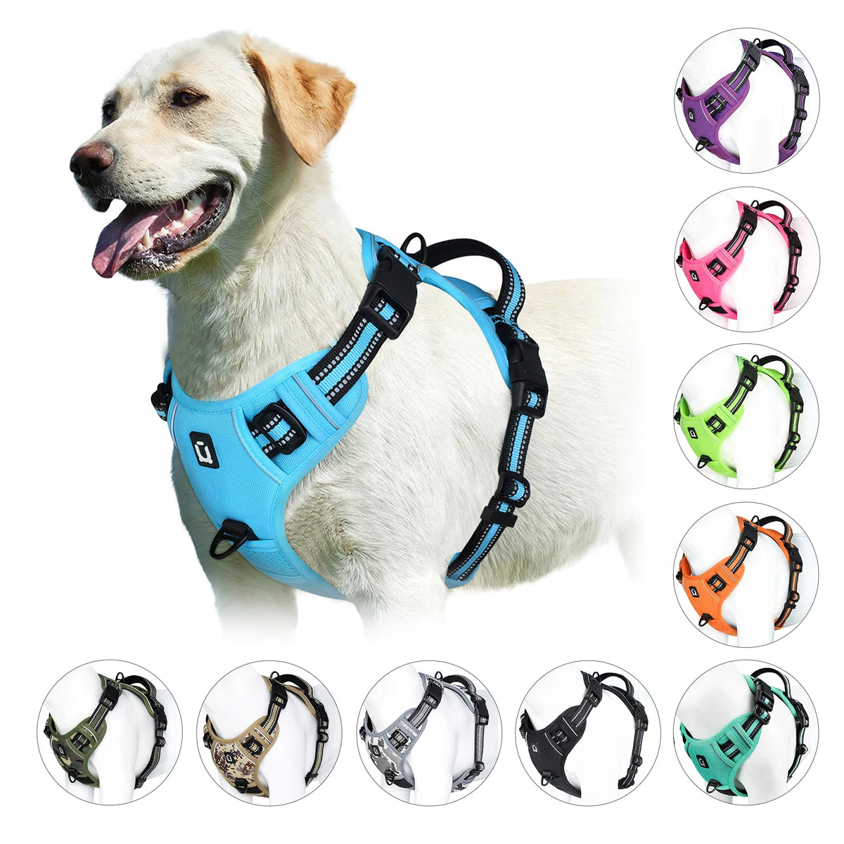 pawsoftly EasyWalk™