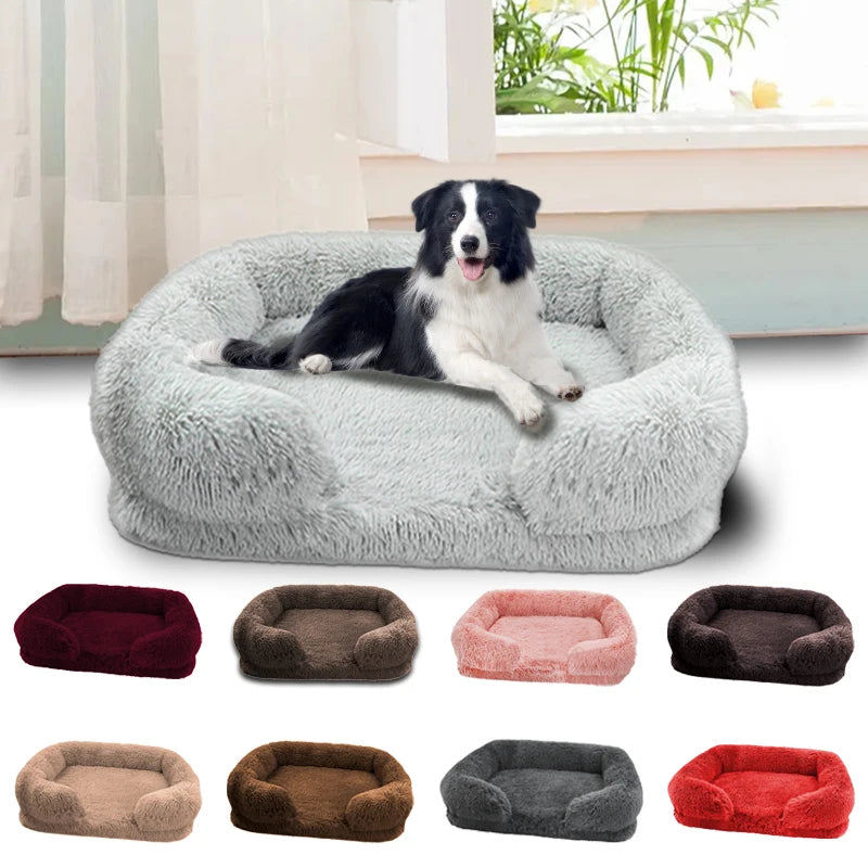 Thickened Orthopedic Dog