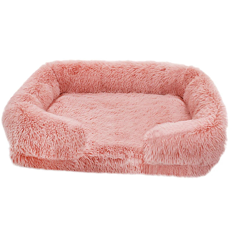 Thickened Orthopedic Dog