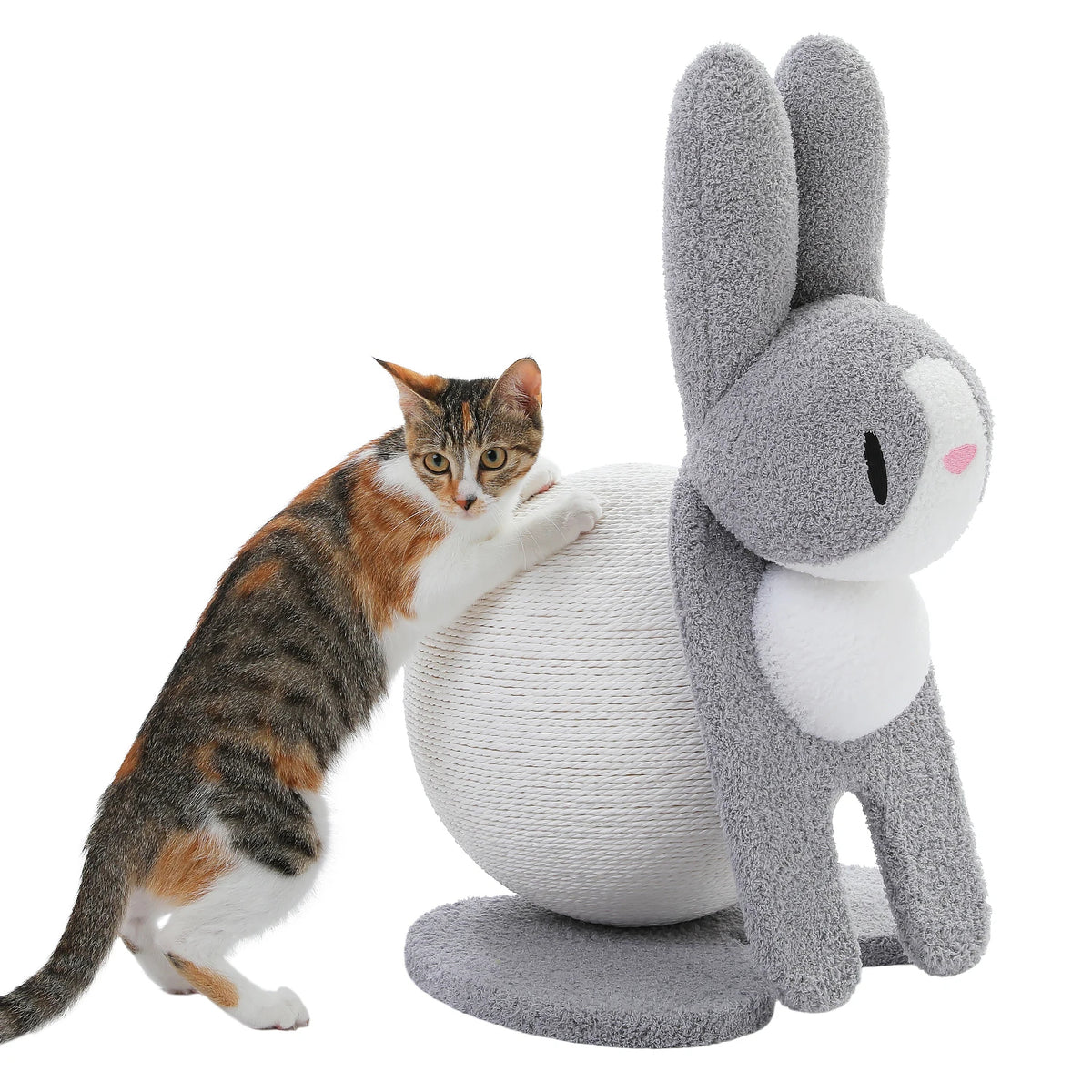 Cute Cat Scratching Post