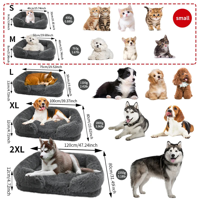 Thickened Orthopedic Dog
