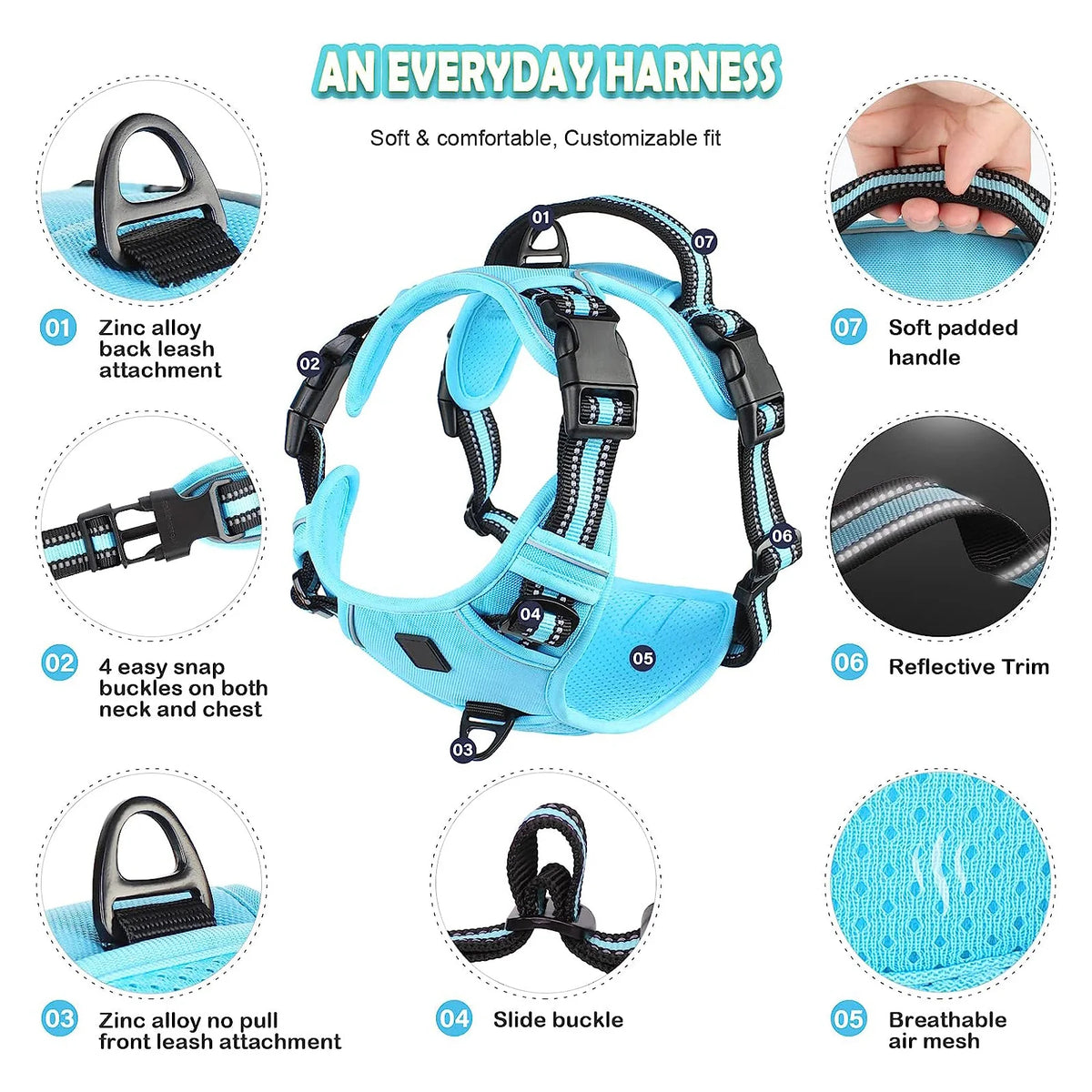 pawsoftly EasyWalk™