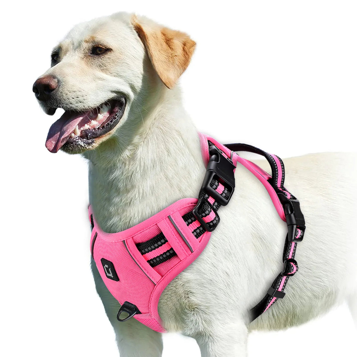 pawsoftly EasyWalk™