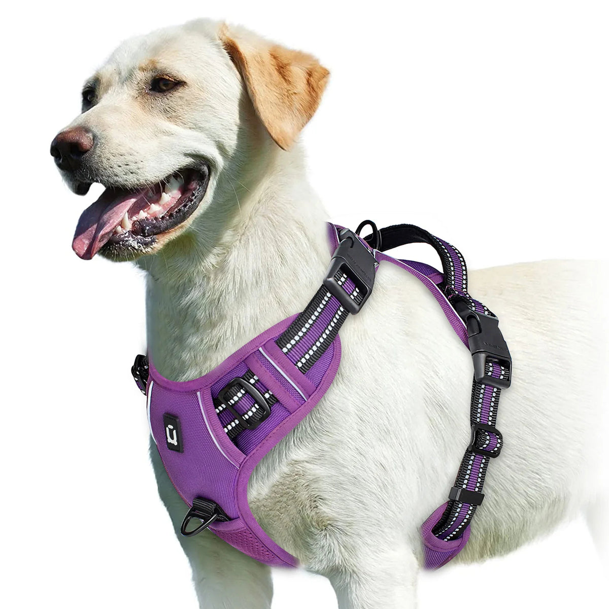 pawsoftly EasyWalk™