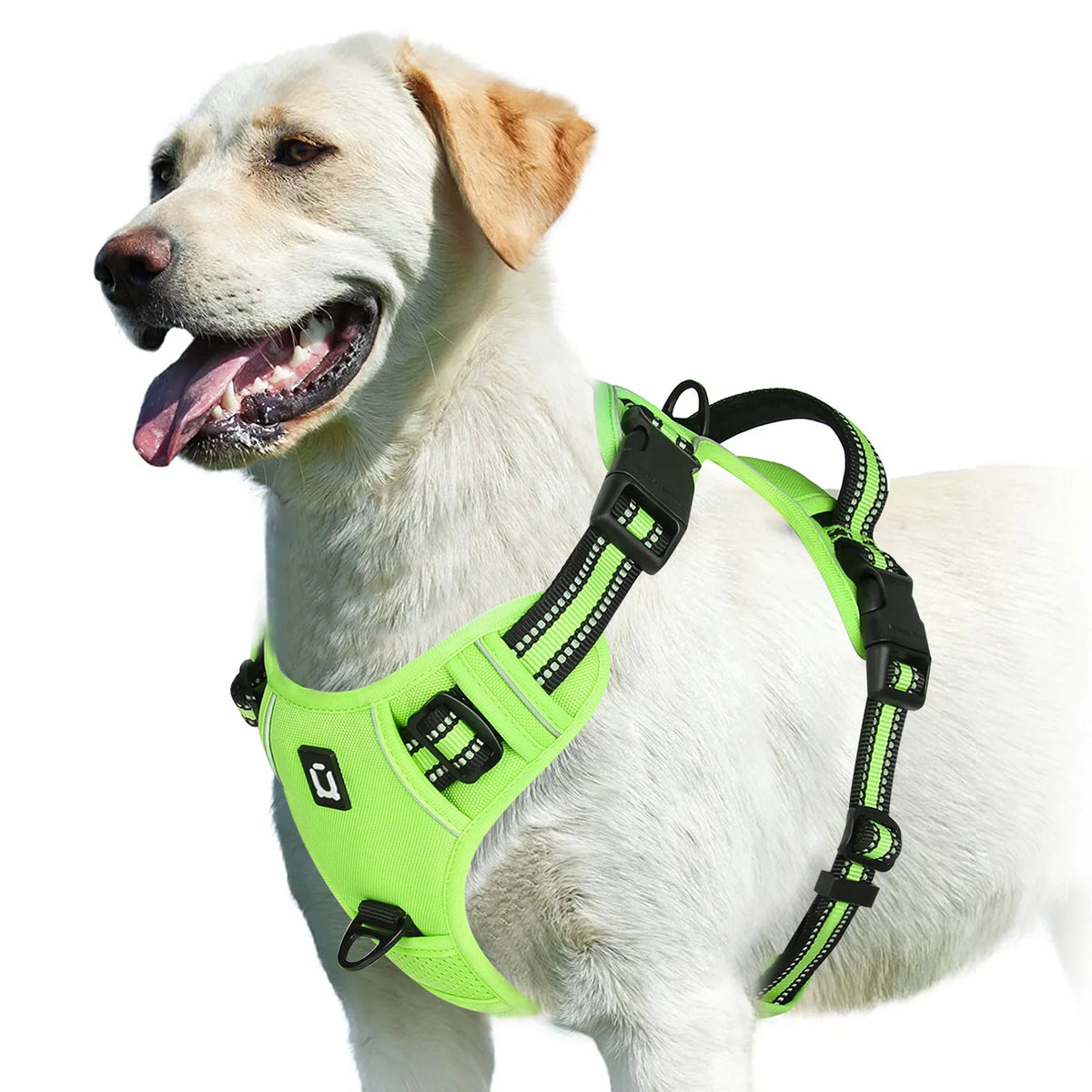 pawsoftly EasyWalk™