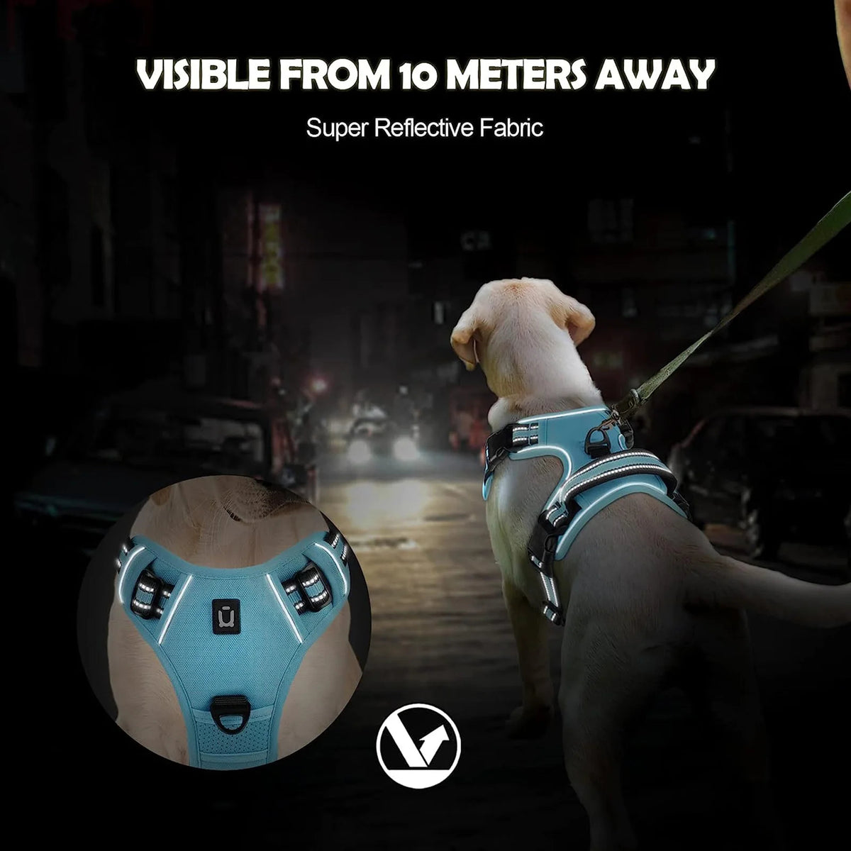 pawsoftly EasyWalk™
