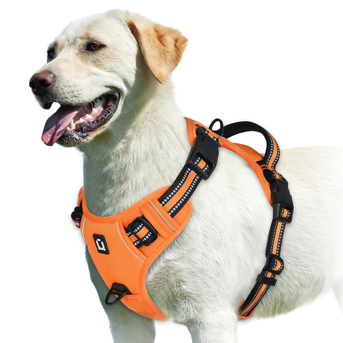 pawsoftly EasyWalk™