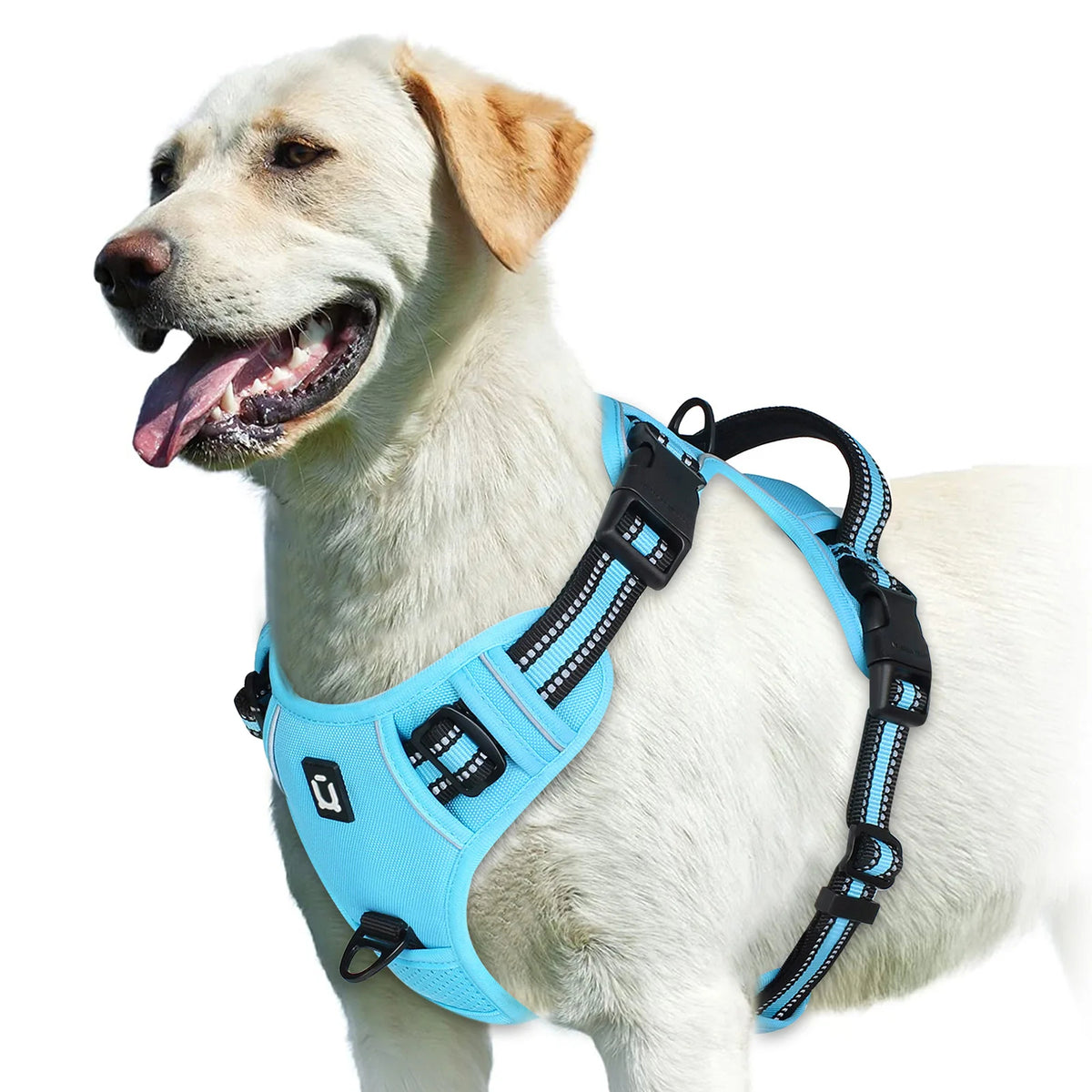 pawsoftly EasyWalk™